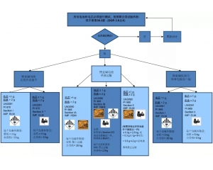 鋰金屬/鋰離子電池分類流程及要求